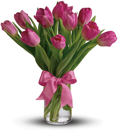 Precious Pink Tulips