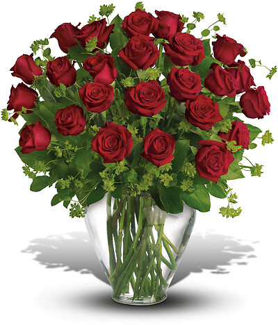 My Perfect Love - Long Stemmed Red Roses